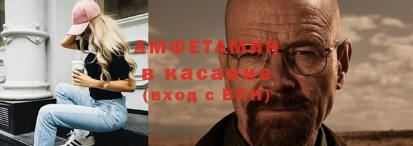 стаф Алексин