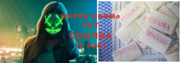 стаф Алексин
