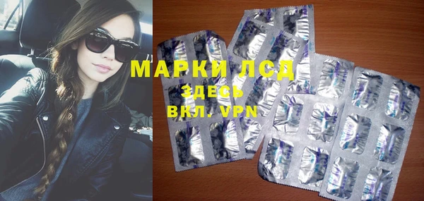 стаф Алексин