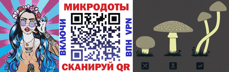 Галлюциногенные грибы Cubensis  Лесосибирск 