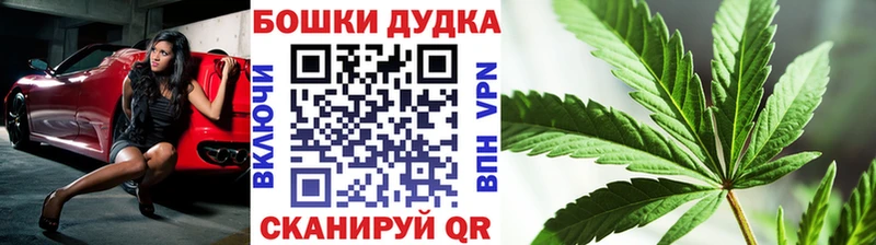 МАРИХУАНА сатива  как найти закладки  Лесосибирск 